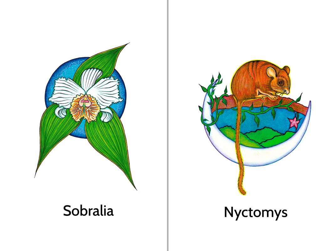 camiseta-hombre-bio-anori-1-unidad-V2.jpg?umw