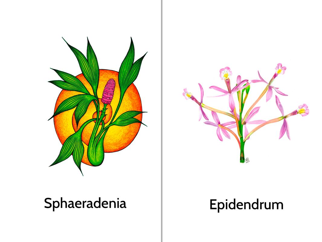 camiseta-hombre-bio-anori-1-unidad-V3.jpg?orR